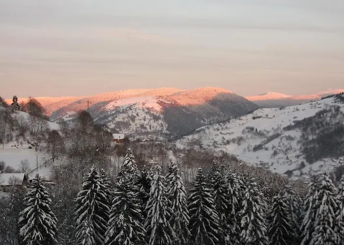 La Ferme du Vieux Sapin