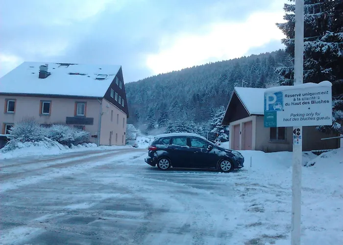 Hôtel pour familles: Hôtel du Ô des Bluches